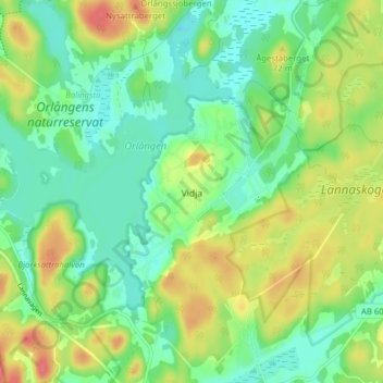 Topografinen kartta Vidja, korkeus, helpotus